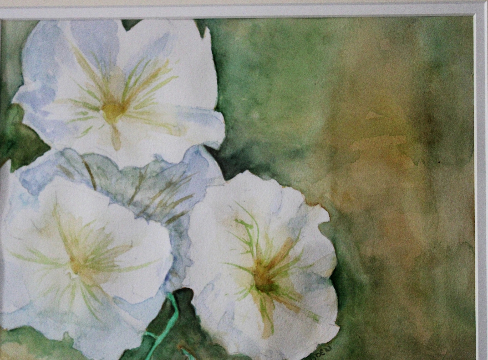 Petunias by cynthia uden