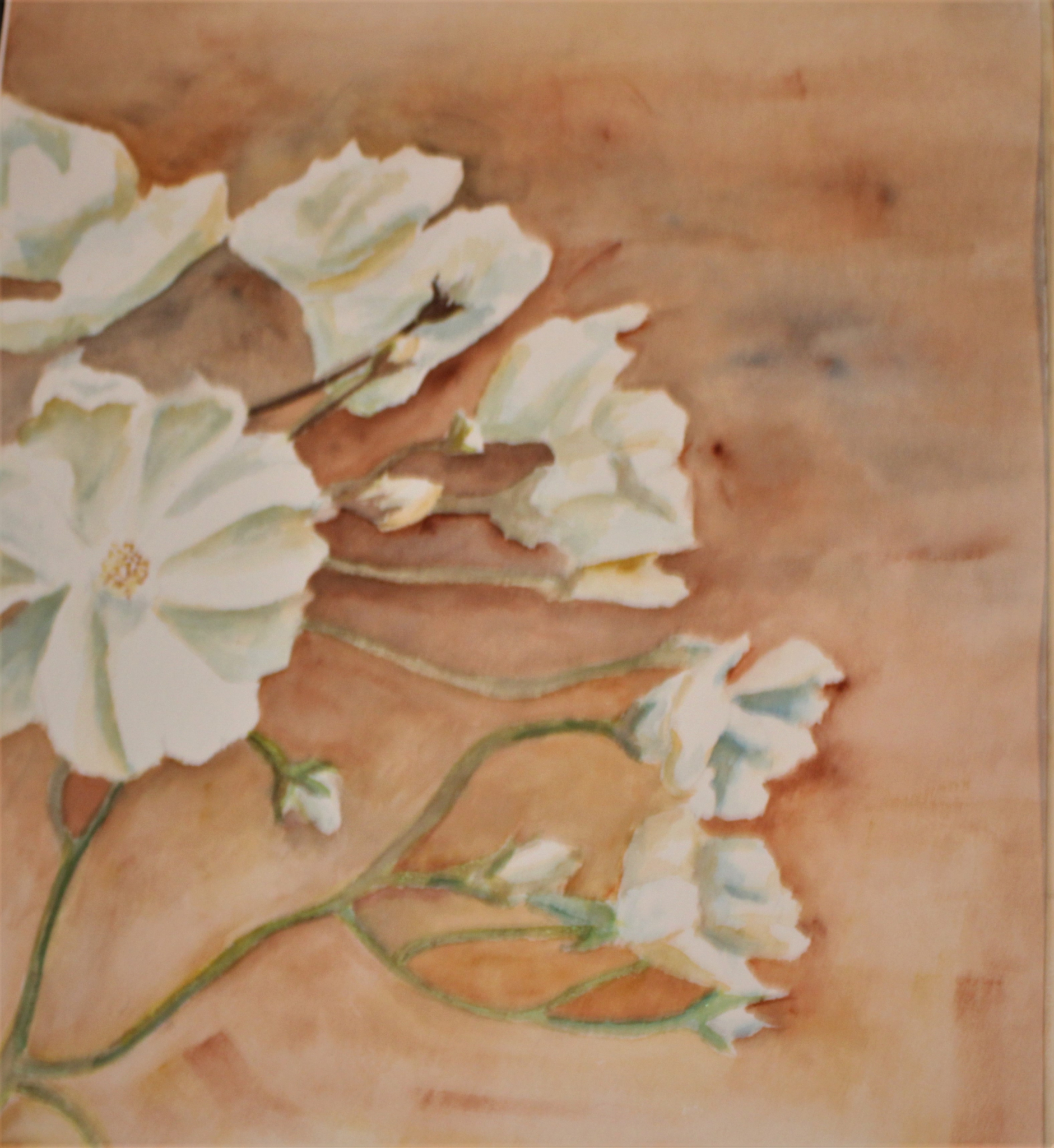 White Flowers by cynthia uden